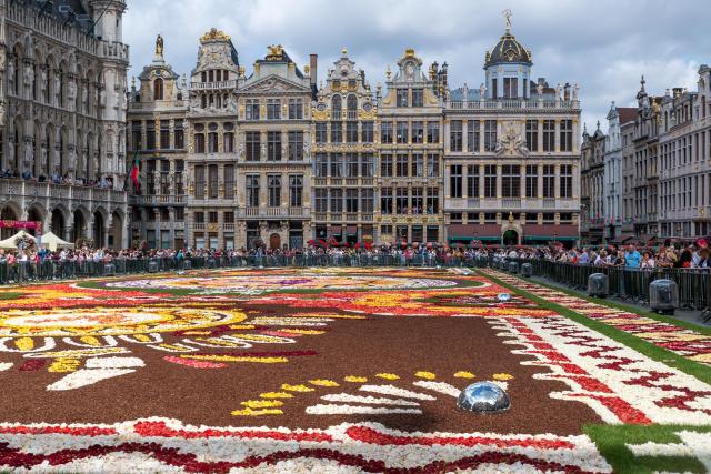 Der Blumenteppich in Brüssel