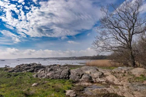 Trail zwischen Svaneke und Snogebæk