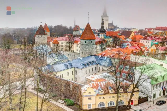 Blick auf die Altstadt von Tallinn