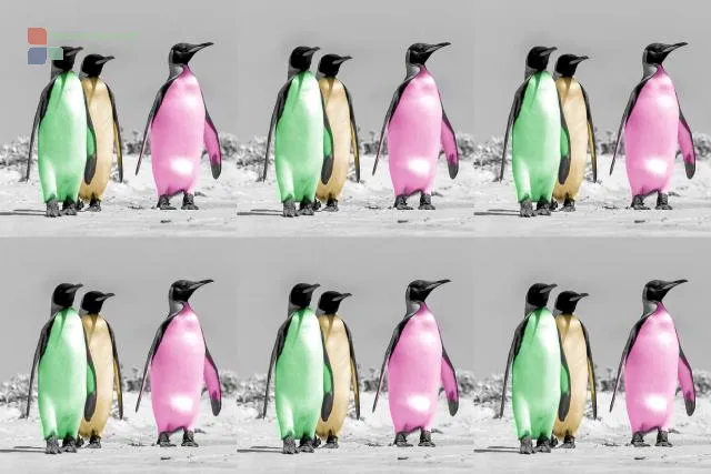 Warhol penguins as non-fungible token (NFT)