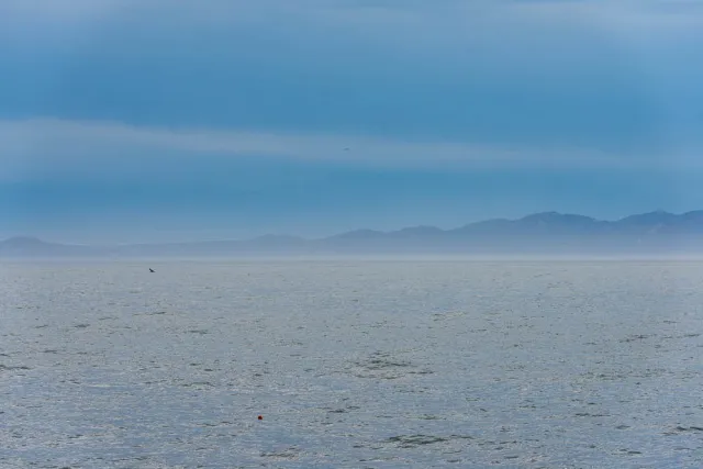 Kunashiri, the black island in the fog