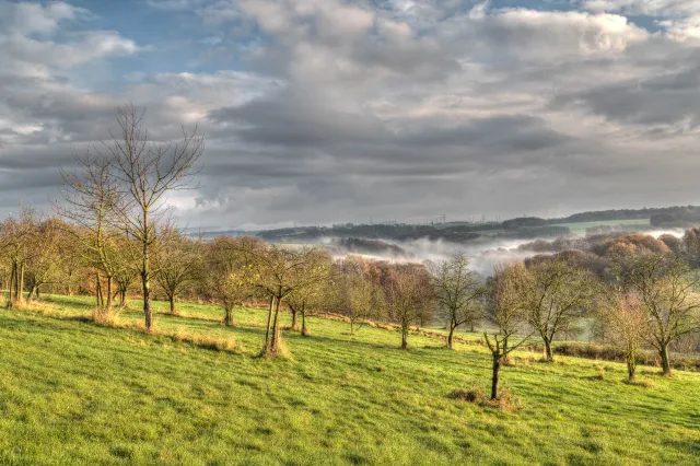 Morning fog over the Hanfcreek valley