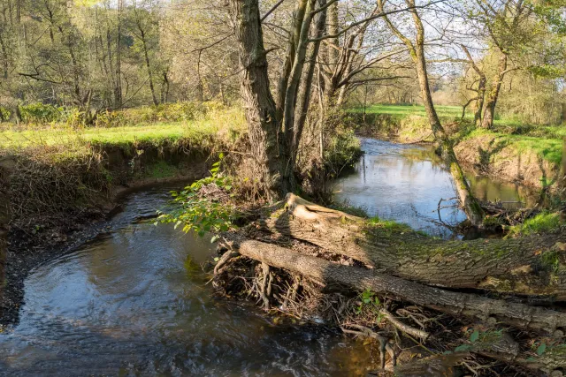 The Hanfcreek near Röttgen