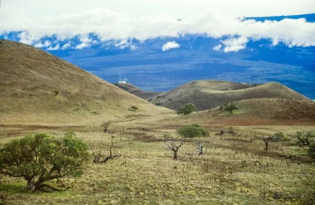 Volcanic cone at Mauna Kea