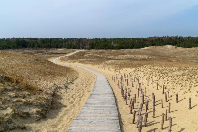 Die Dünen der Kurischen Nehrung