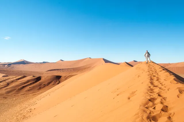 The dune landscape around Dune 45 in the Namib