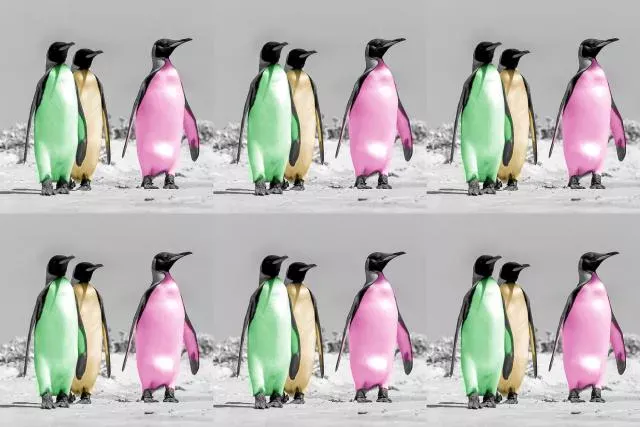 Warhol-Pinguine als non-fungible token (NFT)