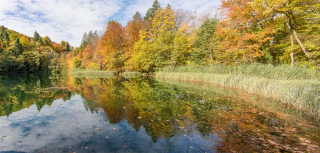 The Plitvice Lakes