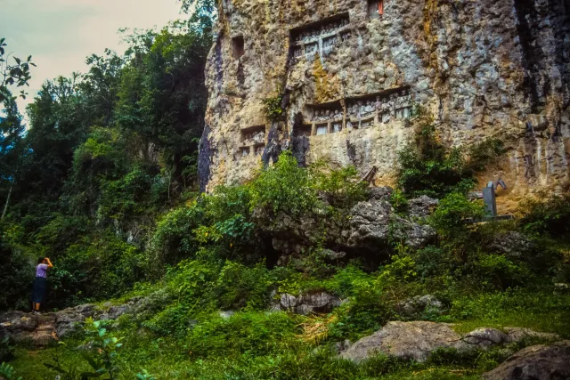 Grave wall with Tau-Taus, grave figures, in the Tanah Toraja highlands on Sulawesi