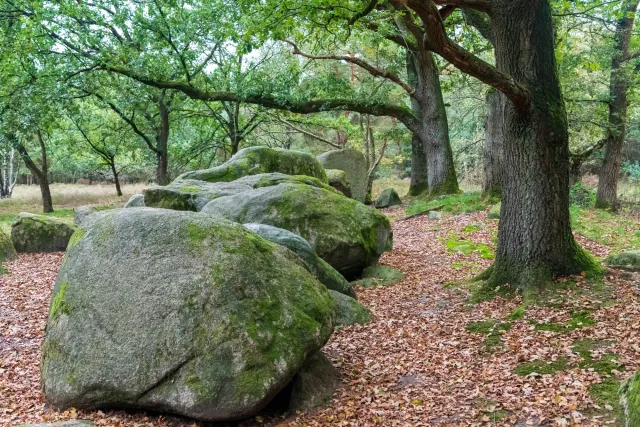 The royal tomb of Groß Berßen, also known as Groß-Berßen VIII, is a Neolithic passage grave with the Sprockhoff no. 860