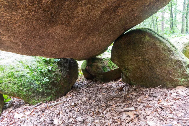 The megalithic tomb in the Kunkenvenne, also known as the Thuine megalithic tomb, Sprockhoff no. 874