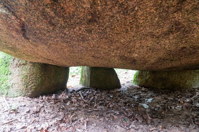 Das Großsteingrab in der Kunkenvenne, auch Großsteingrab von Thuine genannt, Sprockhoff-Nr. 874