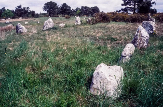 Stone rows of Carnac