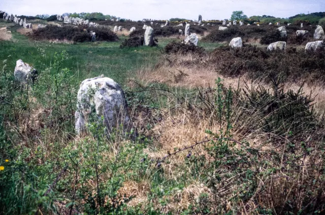 Steinreihen von Carnac