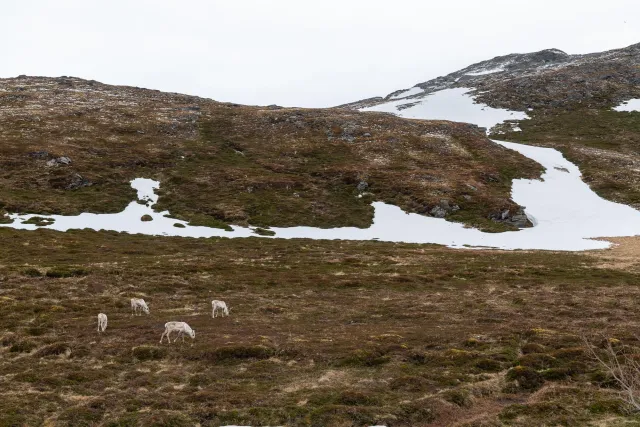 Arrive at base camp on the North Cape