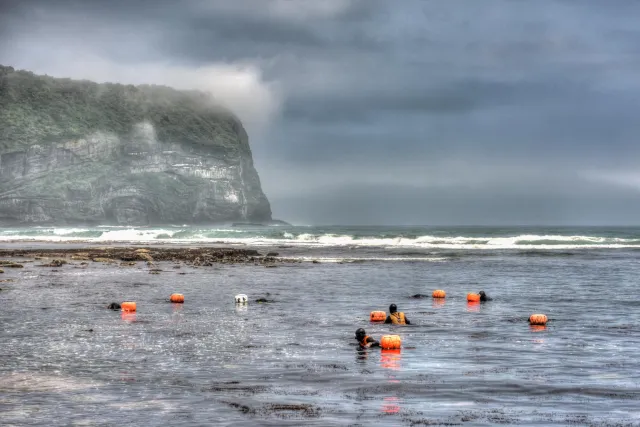 The sea women in the bay in front of the Seongsan Ilchulbong, a former volcano.