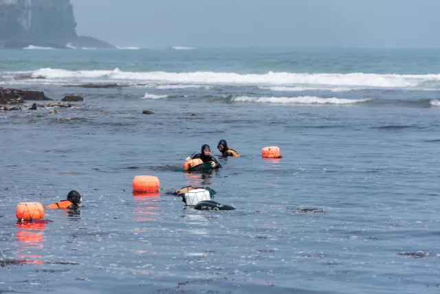 Die Seefrauen (Haenyo) von der südkoreanischen Insel Jeju.