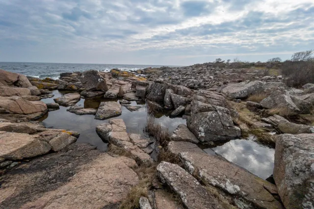 Over the rocks of the rugged coast