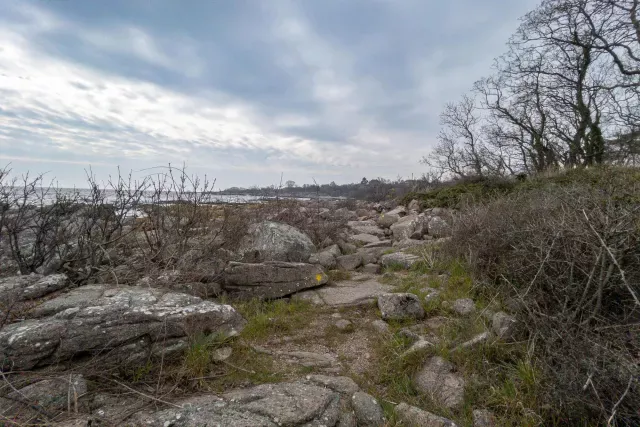 Over the rocks of the rugged coast