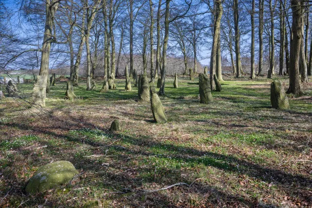 Menhirs or Bautasteine in Louisenlund