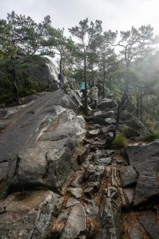 Climb to Preikestolen