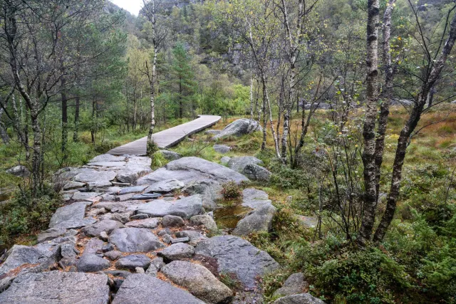 Further climb to Preikestolen