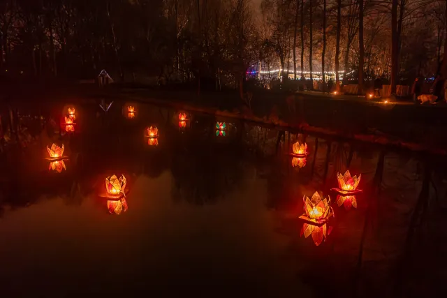 Nighttime magic in the park of Mechelen