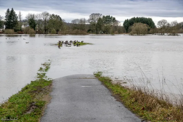 Hochwasser der Sieg