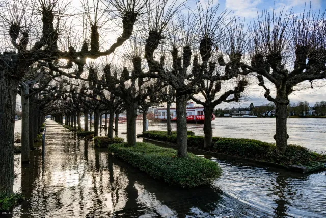 Die überschwemmte Rheinpromenade bei Königswinter