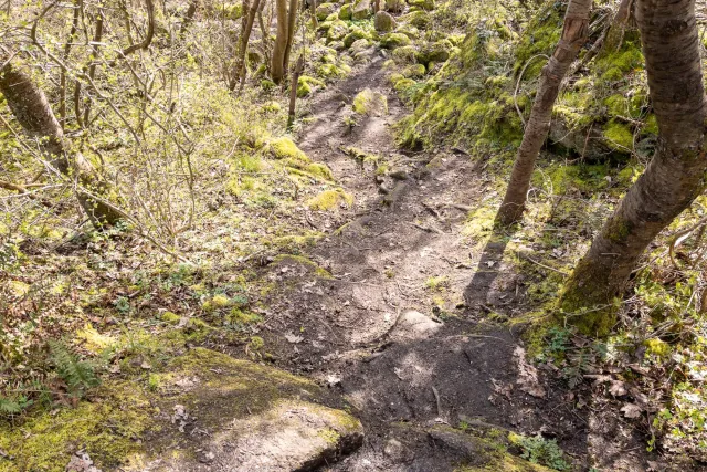 Trail between Svaneke and Snogebæk