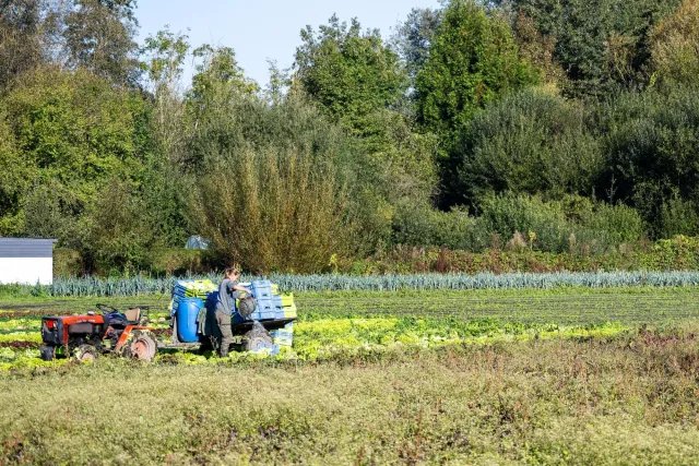 Die Hortillonages, die schwimmenden Gärten von Amiens